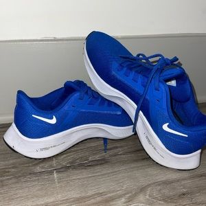 Nike Air Zoom Pegasus 38 Blue